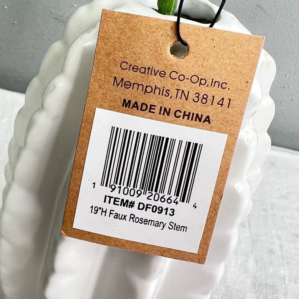 White Cactus Vase Rosemary Stem Creative Co-op Desert Succulent Decoration NWT - Picture 4 of 9